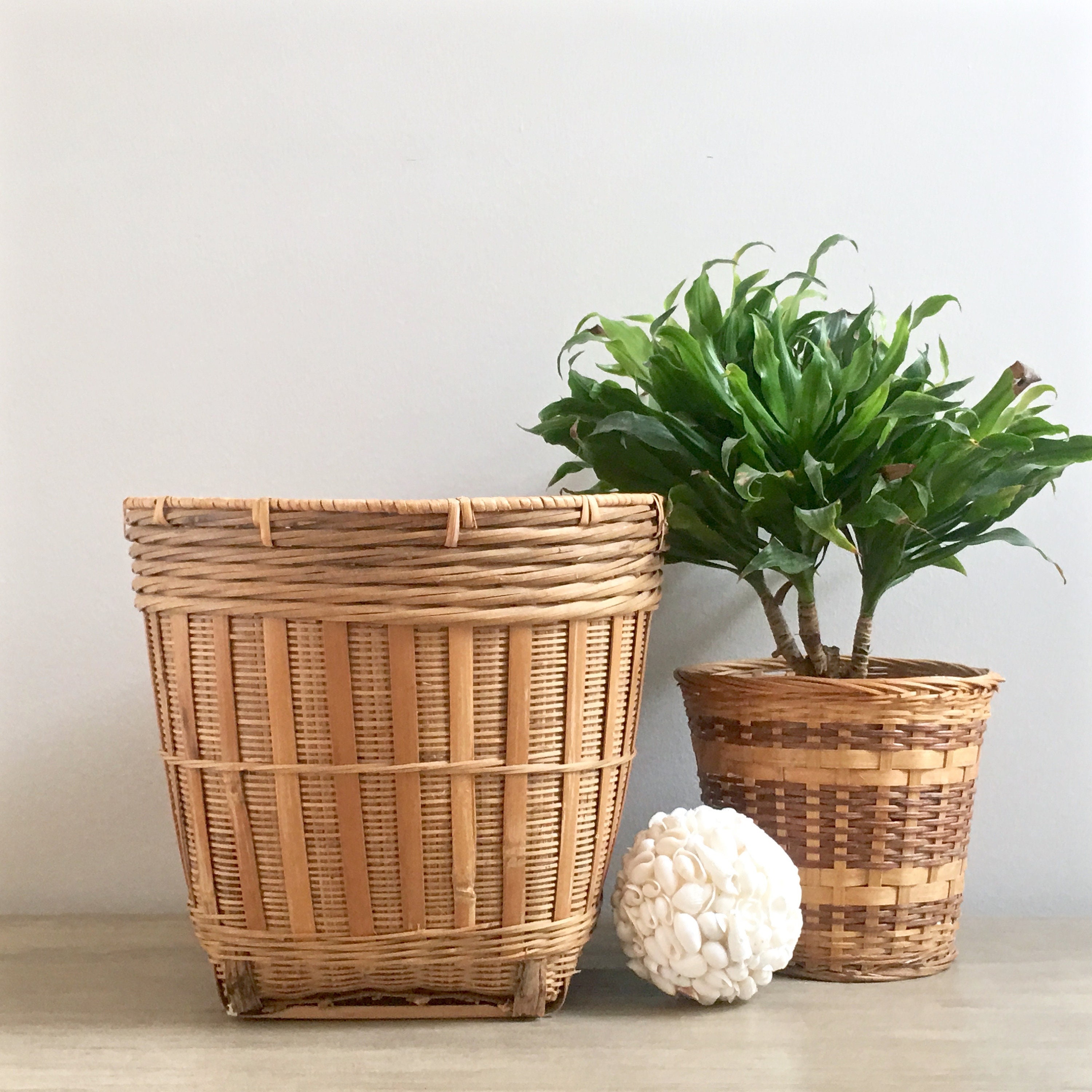 wicker house plant pots