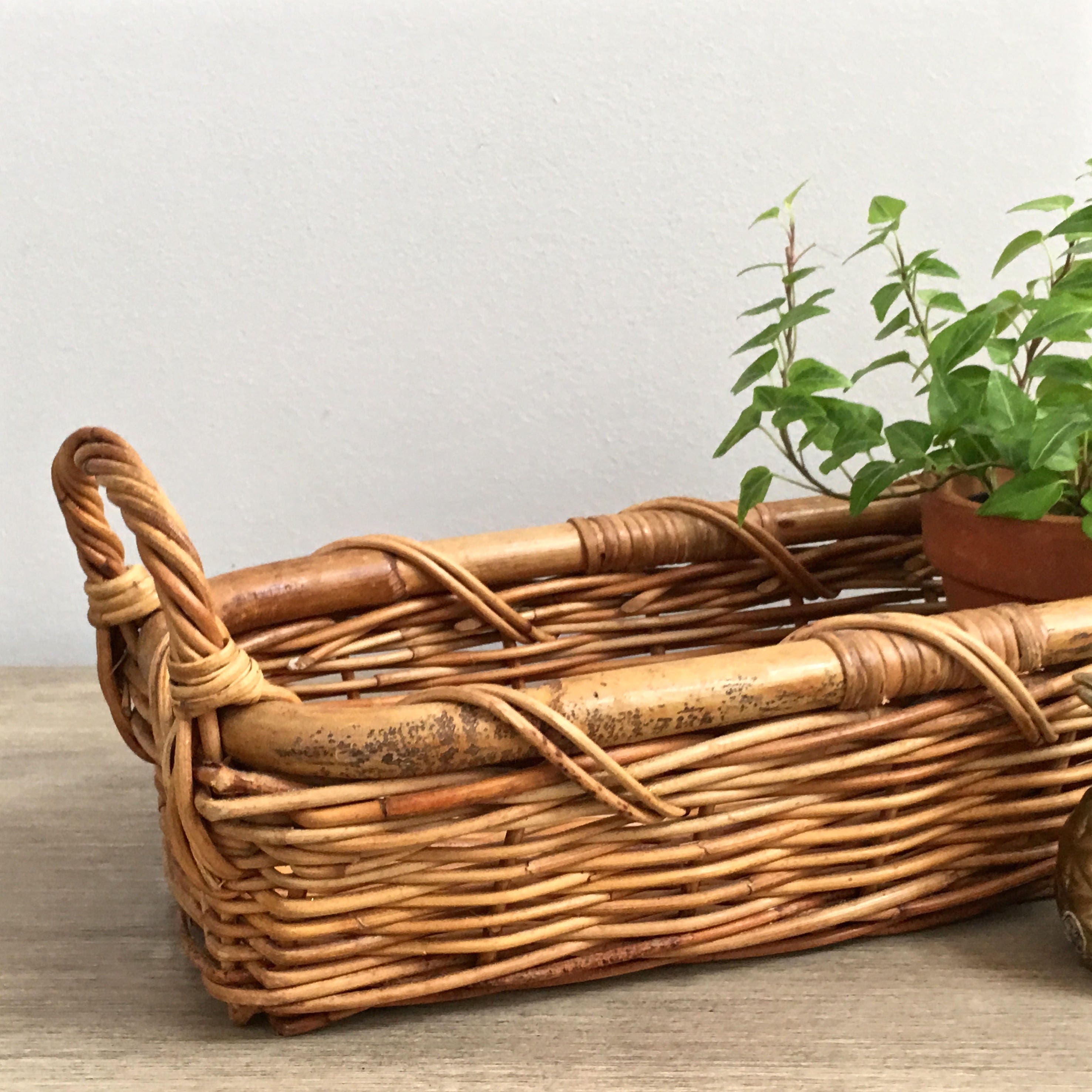 Vintage Basket Planter Long Rectangular Woven Willow Twig