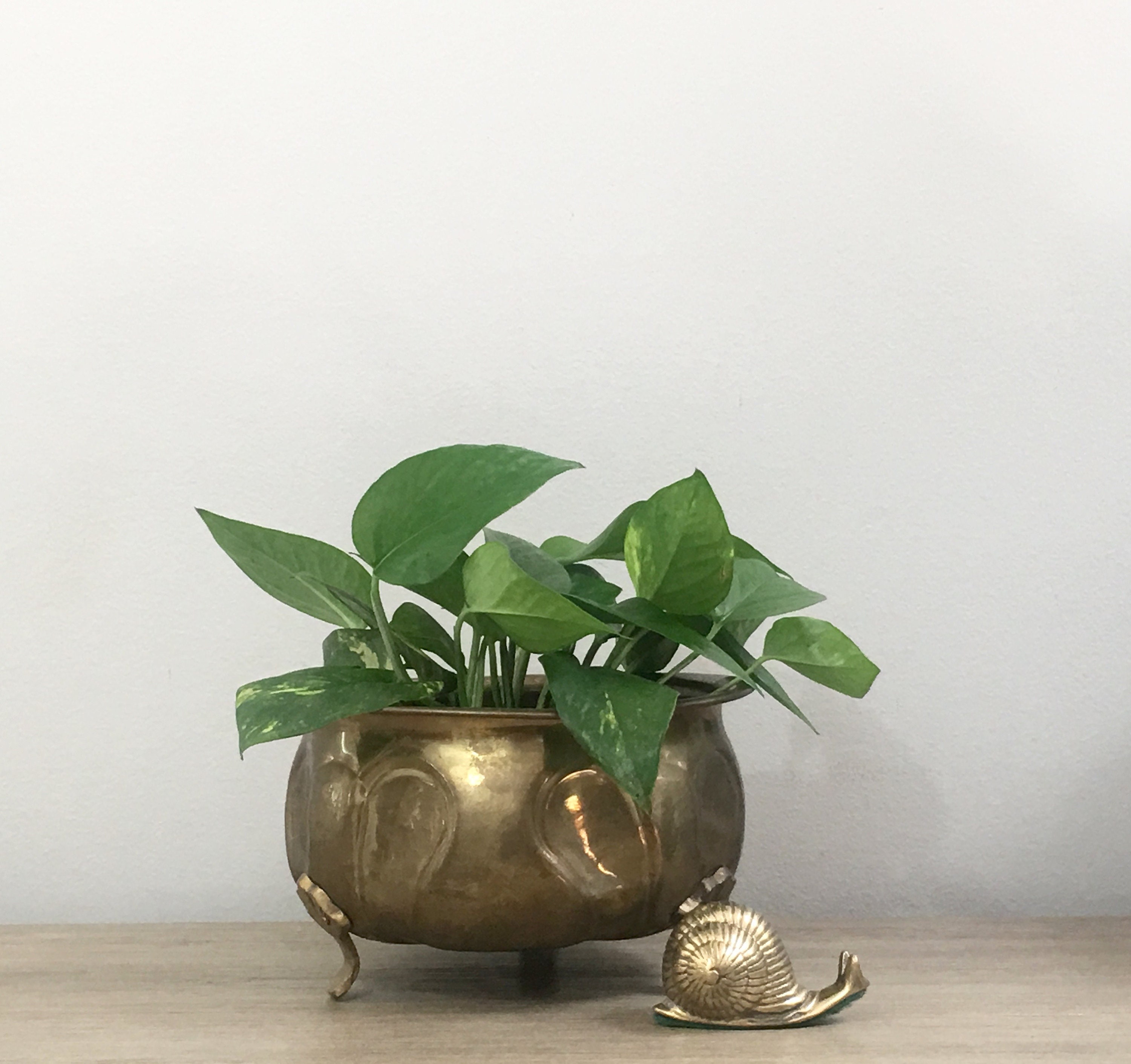 indoor footed planter