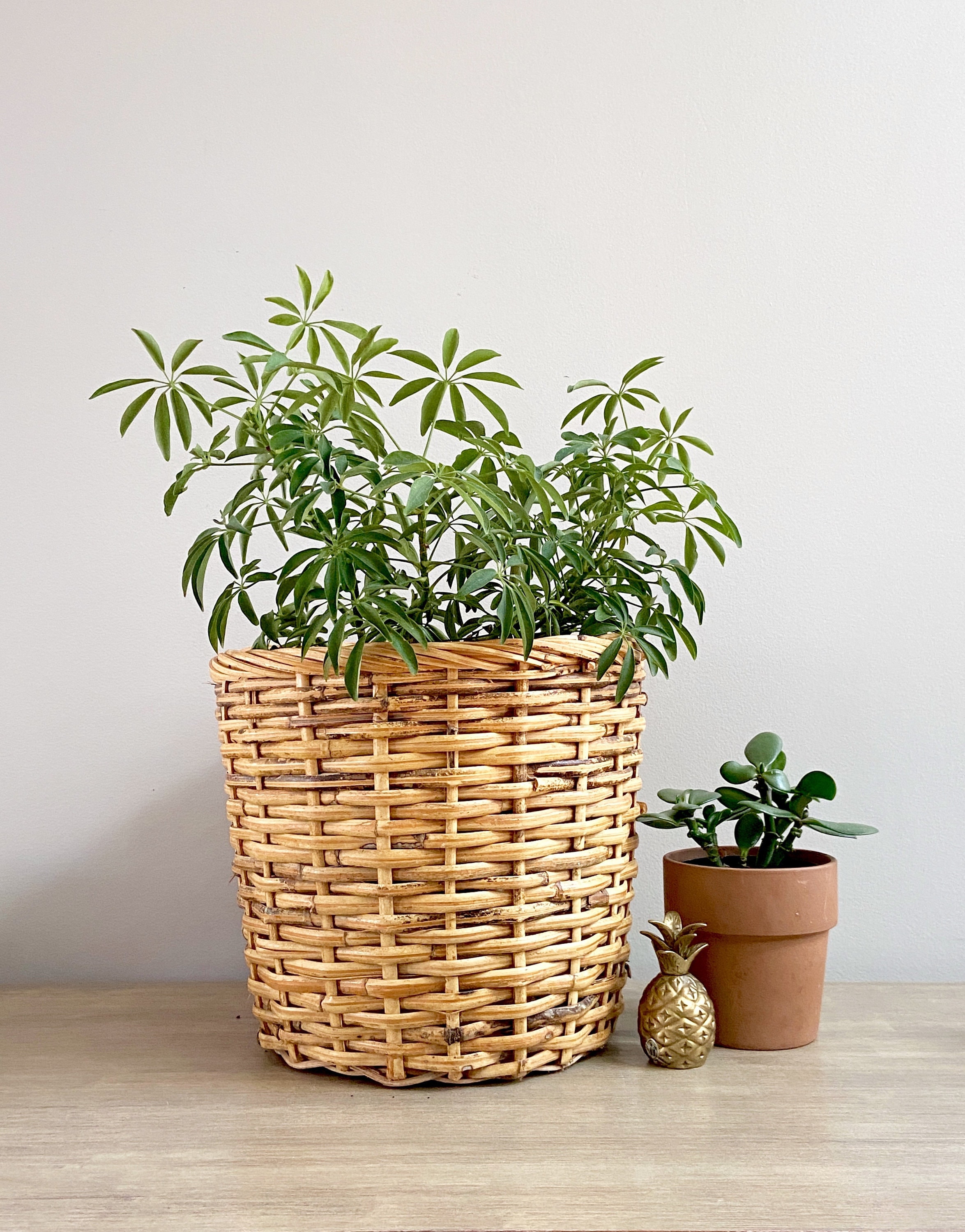 Large Wicker Plant Basket Sturdy Bamboo Cane Planter