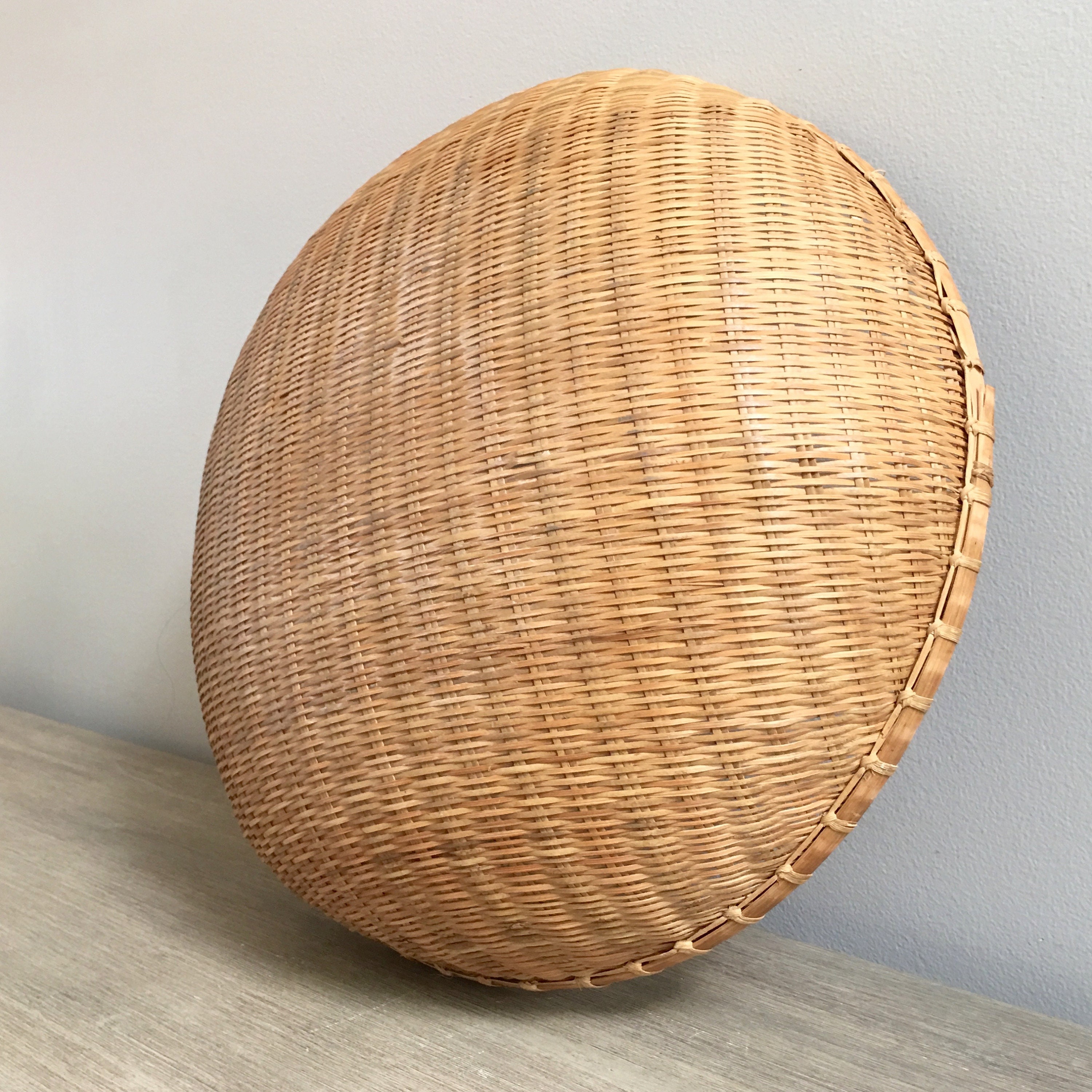 Large Round Winnowing Basket 17 Shallow Wall Basket