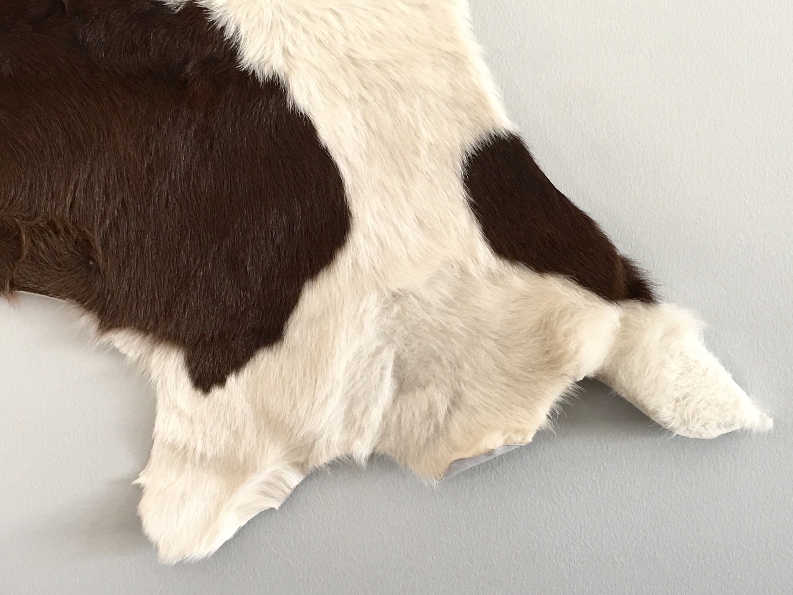 Vintage Calfskin Cowhide Leather Remnant Hide