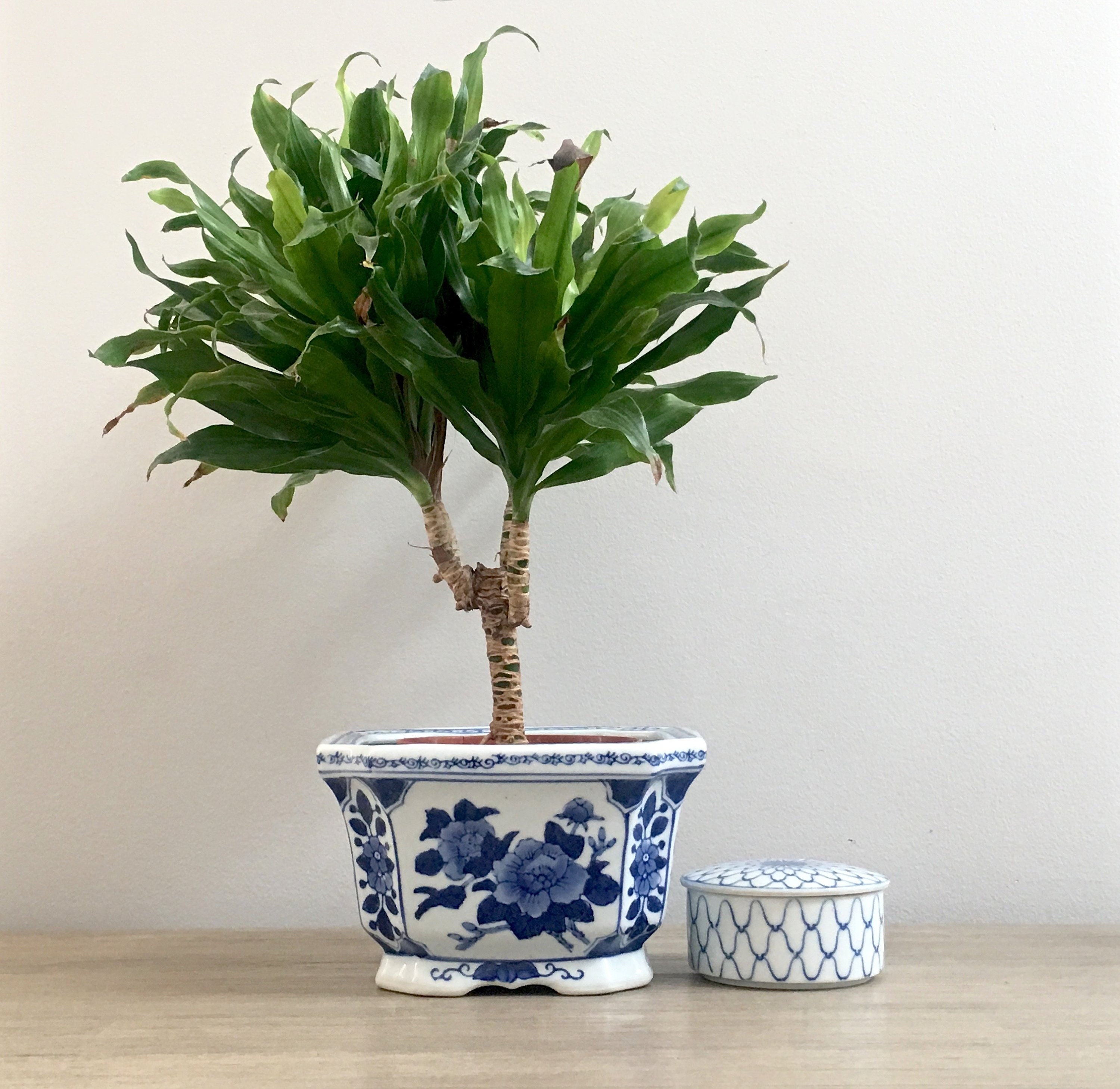 Blue White Planter Orchid Pot Chinese Ceramic Planter Chinoiserie