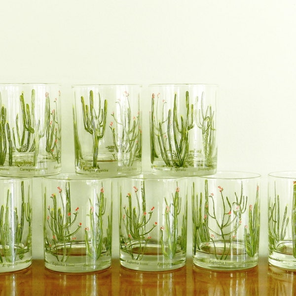 Vintage Neiman Marcus Glasses Wildflower Cactus Palm Springs Dessert Garden Outdoor Decor Set of 8