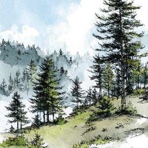 May include: A watercolour and ink illustration of a forest landscape featuring tall evergreen trees on a grassy hillside. The scene includes detailed black ink outlines of pine trees with soft green and blue watercolour washes depicting a misty background.