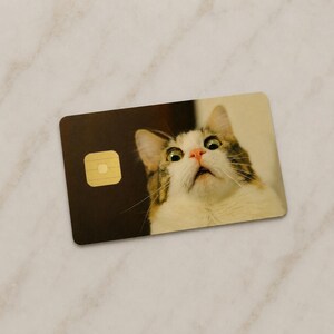May include: A rectangular card featuring a cat with brown and white fur looking upwards with wide eyes. The card has a dark brown section with a gold square and a light brown background.