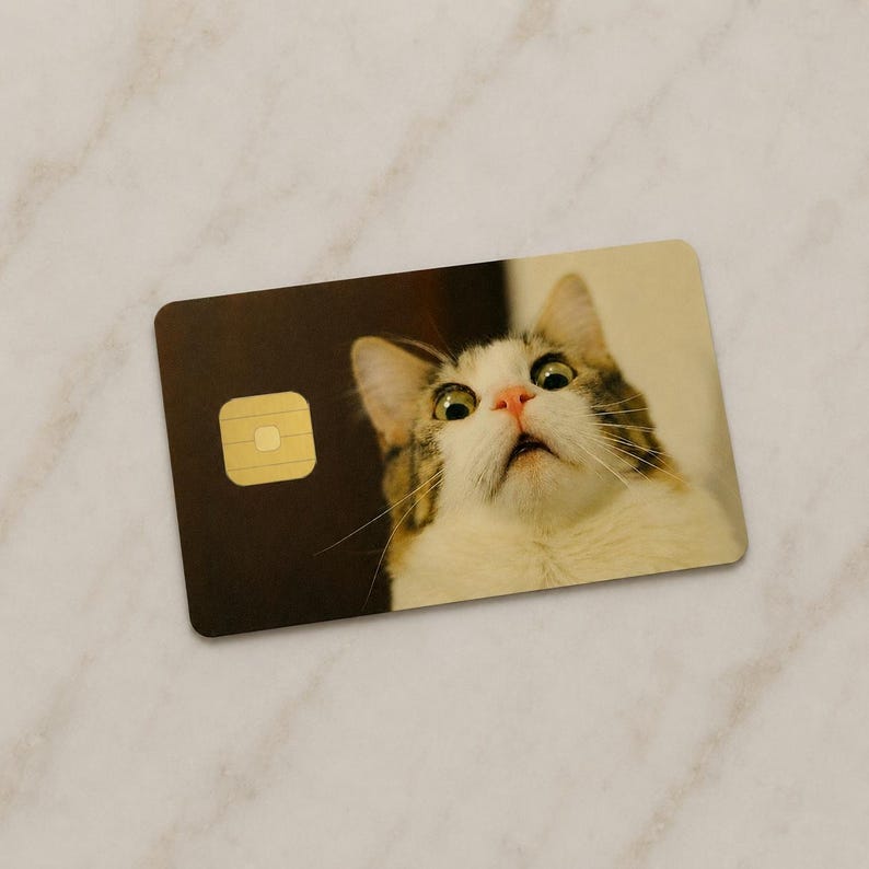 May include: A rectangular card featuring a cat with brown and white fur looking upwards with wide eyes. The card has a dark brown section with a gold square and a light brown background.