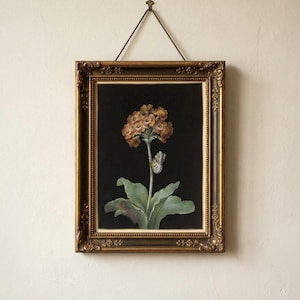 May include: A framed botanical print featuring a detailed illustration of a flower with orange and yellow petals, green leaves, and a butterfly against a black background. The ornate gold frame is suspended by a thin wire.