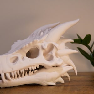 Dragon Skull Statue | Fantasy Home Decor | DnD Display | Fossil Replica Figurine| Collector Gothic Shelf Decor