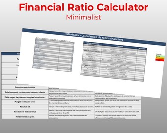 Ultra-Simple Financial Ratio Analysis Tool | RatioTrack Minimalist