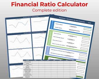 Financial Ratio Analysis Tool | RatioTrack+
