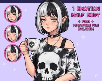 Female PNGTuber – Anime Girl Grunge Premade PNG Tuber Model, VeadoTube Ready - GIFTuber
