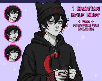 Male PNGTuber - Emo PNGTuber Boy - Premade PNG Tuber Model - VeadoTube - Twitch Avatar, GIFTuber - PNGTuber model male