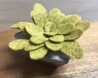 Concrete container with gold leaf and felt succulent plant