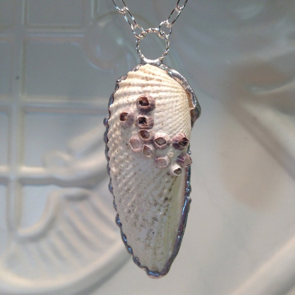 Angel Wing Seashell Soldered Pendant - Seashell Necklace