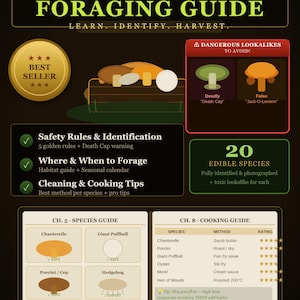 Könnte beinhalten: Ein Pilz-Führer mit dem Titel "Mushroom Foraging Guide". Der Führer enthält Sicherheitsregeln, Identifizierung, wo und wann man suchen kann, sowie Reinigungs- und Kochtipps. Er zeigt 20 essbare Arten mit giftigen Doppelgängern. Sofortiger Download.