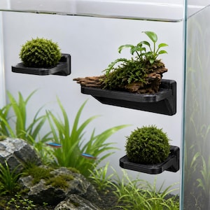 May include: Black aquarium shelves holding aquatic plants and moss balls. The shelves are mounted on the inside of a glass aquarium. The plants and moss balls are green and add a natural aesthetic to the aquarium.