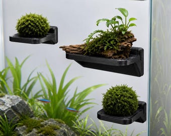 Paquete de 3 soportes para repisas de musgo para acuario – Estantes para plantas de PETG impresos en 3D