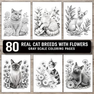 Op de afbeelding: Een verzameling van 80 kleurplaten in grijstinten met verschillende kattenrassen omringd door bloemen. De zwarte banner toont de tekst 80 REAL CAT BREEDS WITH FLOWERS GRAY SCALE COLORING PAGES. Elke pagina toont een gedetailleerde kattenillustratie.