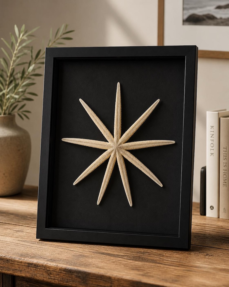 May include: A framed starfish art piece. The starfish, with multiple elongated arms, is centered on a black background within a black frame. The natural beige color of the starfish contrasts with the dark backdrop, creating a striking visual.