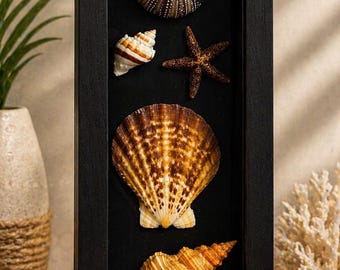 Sanibel Island Winter Treasures Shadow Box – Hand-Collected Coastal Keepsake