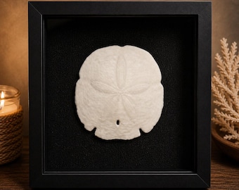 Sanibel Island Winter Treasures-Keyhole Sand Dollar Memory Box (8x8x2)