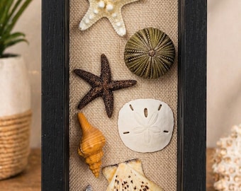 Sanibel Island Winter Treasures Shadow Box – Hand-Collected Coastal Keepsake