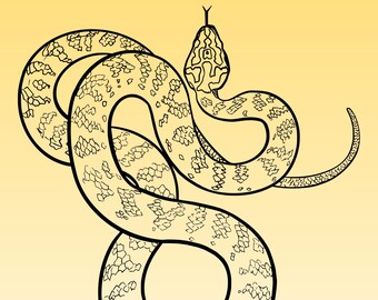 Minimalistisch slangenkleurboek: 20 moderne reptielenkunstpagina's (digitale download)