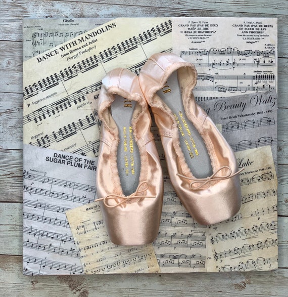 Types of Ballet Shoes: How Many Are There? - Ballerina Gallery