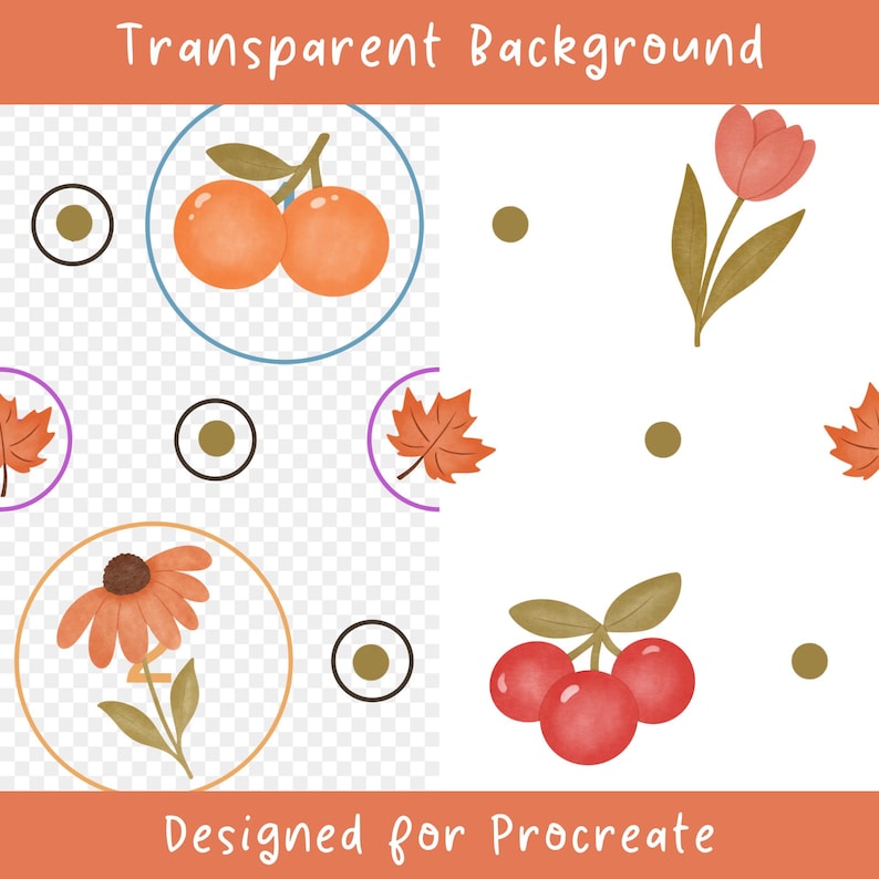 Peut inclure: Une feuille d'illustration num&eacute;rique pr&eacute;sentant divers motifs botaniques et fruitiers, notamment des oranges, une tulipe, une feuille d'&eacute;rable, une fleur et des cerises. Le design inclut des cadres circulaires, des points dor&eacute;s et le texte Transparent Background et Designed for Procreate.