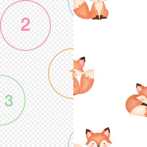 May include: A digital pattern featuring watercolour-style orange and white foxes in various poses, including sitting and curled up. The design is overlaid with a series of thin, coloured circular outlines containing the numbers 1, 2, and 3.