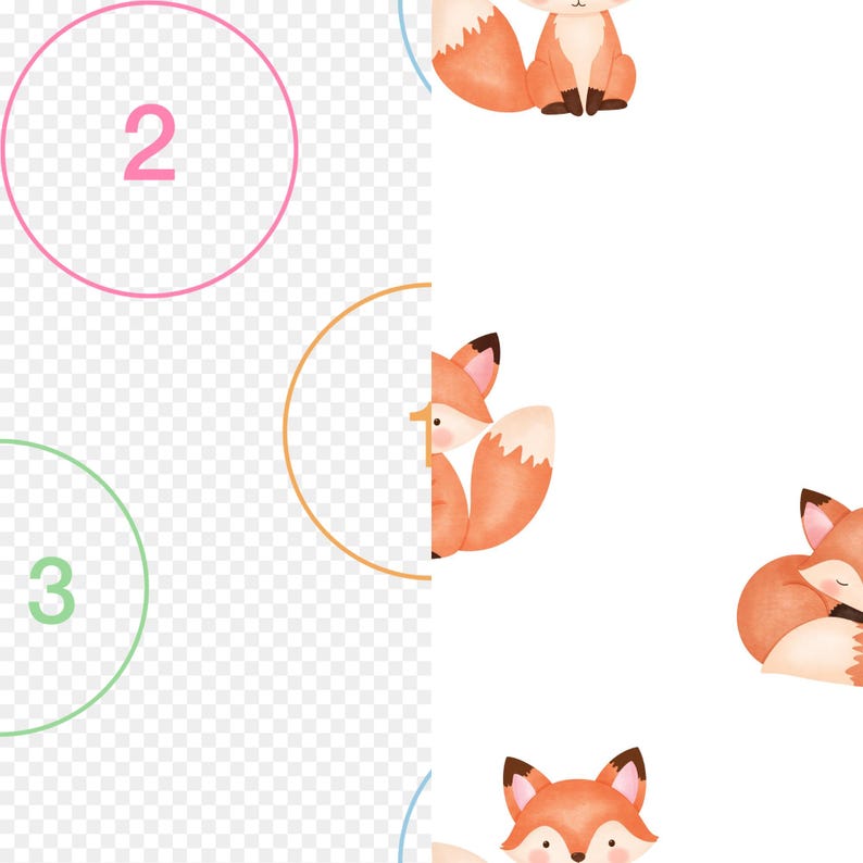 May include: A digital pattern featuring watercolour-style orange and white foxes in various poses, including sitting and curled up. The design is overlaid with a series of thin, coloured circular outlines containing the numbers 1, 2, and 3.