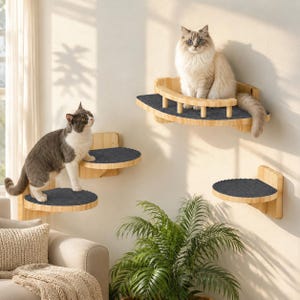 May include: A set of four wall-mounted cat shelves made of light-colored wood with dark gray carpeted surfaces. One shelf features a curved wooden railing. Two cats are positioned on the shelves, one sitting on the top shelf and one standing on a lower shelf.