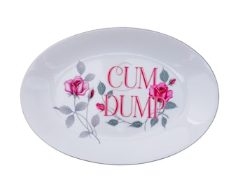 Cum Dump Platter 8"x 12" Upcycled Vintage Seyei Fine China Wall Art Display Plate For Bold Humorous Individuals Gay Humor Interior Design
