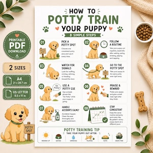 Peut inclure: Une affiche pédagogique blanche intitulée How to Potty Train Your Puppy avec 8 étapes simples illustrées par des chiots golden retriever. Le document inclut un badge de téléchargement PDF et des étiquettes de format A4 21 x 29,7 cm et US Letter.