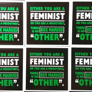 FEMINIST oder MISOGYNIST- Aufkleber Große feministische Aufkleber PACKS - Ani Difranco Zitat, Internationaler Frauentag! Riot Grrrl