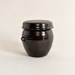 May include: A dark brown ceramic jar with a matching lid. The jar has a rounded body and two small handles on the sides. The lid sits snugly on top, creating a sealed container. The jar is likely used for storage.