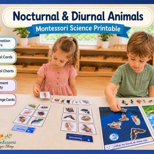 Op de afbeelding: Een Montessori wetenschappelijke printset getiteld Nocturnal & Diurnal Animals, bestaande uit 2 informatieposters, 20 dierenkaarten, 2 controlekaarten, een plaatsingsactiviteit en 12 uitdagingskaarten met diverse illustraties.