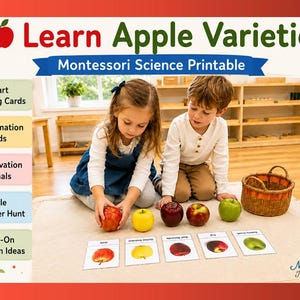 Lernset „Apfelvielfalt“ | Montessori-Materialien zum Ausdrucken | 3-teilige Karten, Informationskarten, Beobachtungsjournal & Schnitzeljagd