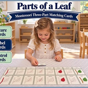 Parts of a Leaf 3-part Matching Cards | Montessori Nomenclature ...