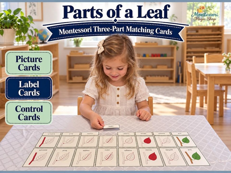 Parts of a Leaf 3-part Matching Cards | Montessori Nomenclature ...