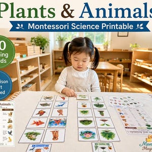 Montessori Plants and Animals Sorting Activity | Science Printable | Comparison Chart | Self-Checking Charts | Preschool Kindergarten