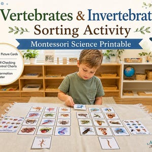 Op de afbeelding: Een Montessori wetenschappelijke sorteeractiviteit om zelf te printen over gewervelde en ongewervelde dieren, inclusief 24 plaatjeskaarten, zelfcontrolerende kaarten en een informatieposter met diverse dierillustraties.
