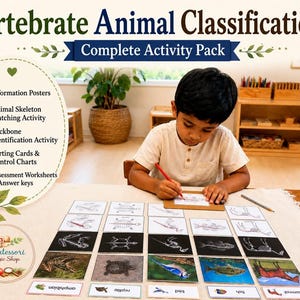 May include: A Vertebrate Animal Classification Complete Activity Pack featuring information posters, skeleton matching, backbone identification, sorting cards, control charts, and assessment worksheets with answer keys for educational use.