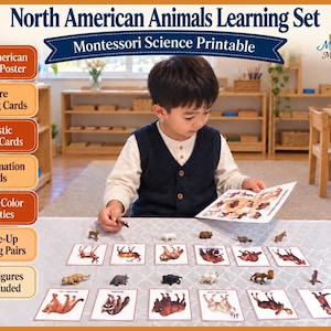 Puede incluir: Un conjunto de aprendizaje de animales de Norteamérica, imprimible Montessori, que incluye un póster, tarjetas de emparejamiento de figuras, tarjetas de animales realistas, 12 tarjetas informativas y actividades de trazo y color. Figuras no incluidas.