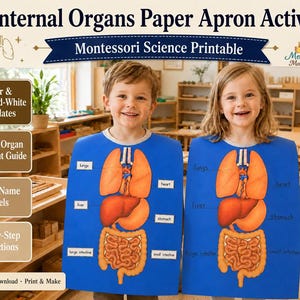 May include: Internal Organs Paper Apron Activity Montessori Science Printable featuring blue paper aprons with orange illustrations of human organs including lungs, heart, liver, stomach, and intestines with labels for educational science learning.