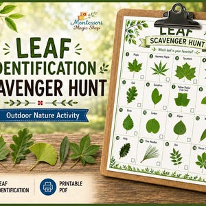 May include: A leaf identification scavenger hunt activity sheet on a wooden clipboard. The white paper features sixteen numbered green leaf illustrations with names like Maple, Oak, and Ginkgo, plus checkboxes for tracking findings during outdoor nature walks.