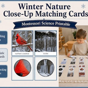 May include: Winter Nature Close-Up Matching Cards Montessori Science Printable featuring 10 matching pairs, 20 realistic photo cards, and 10 self-checking cards. The set includes images of a northern cardinal and icicles with text labels.