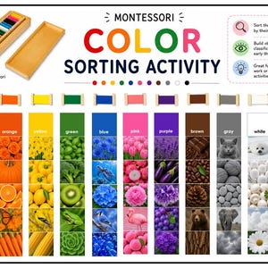 May include: A Montessori color sorting activity chart with the text "COLOR SORTING ACTIVITY." The chart displays color swatches with corresponding images of objects in those colors, such as red strawberries and blue hydrangeas. Includes wooden color box.