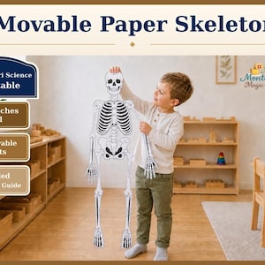 May include: A movable paper skeleton measuring 37.5 inches tall with 14 movable joints. The skeleton is white with black bone details and includes a labeled assembly guide. The text on the image reads Movable Paper Skeleton, Montessori Science Printable, 37.5 Inches Tall, 14 Movable Joints, and Labeled Assembly Guide.
